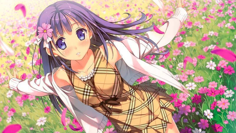 anime girl in flower field