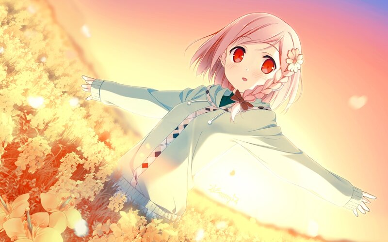 anime girl in flower field