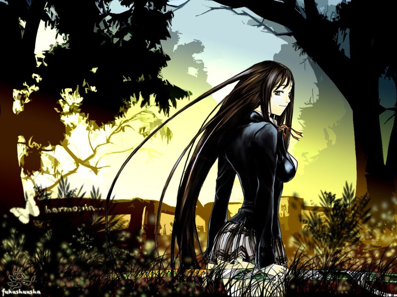 Anime girl in forest at sunset