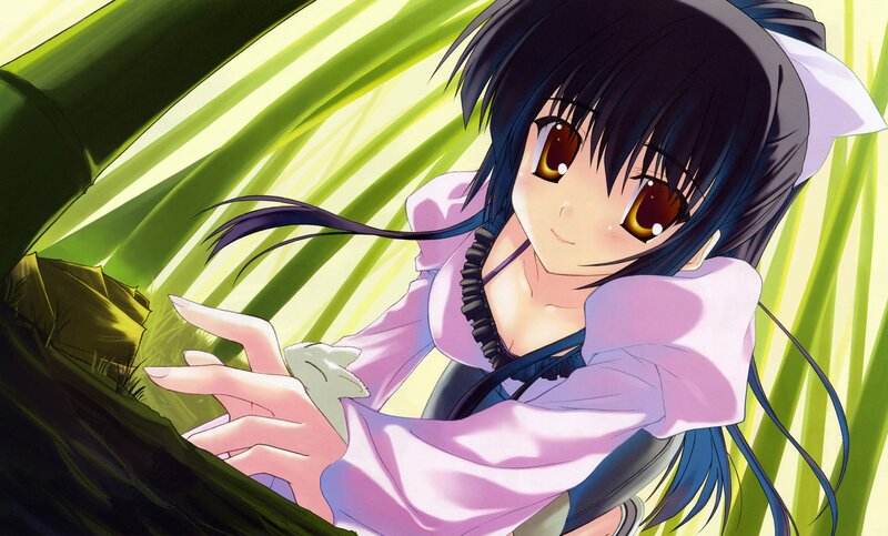 Anime Girl in Grass — Green, Calm, Afternoon, Cat Ears