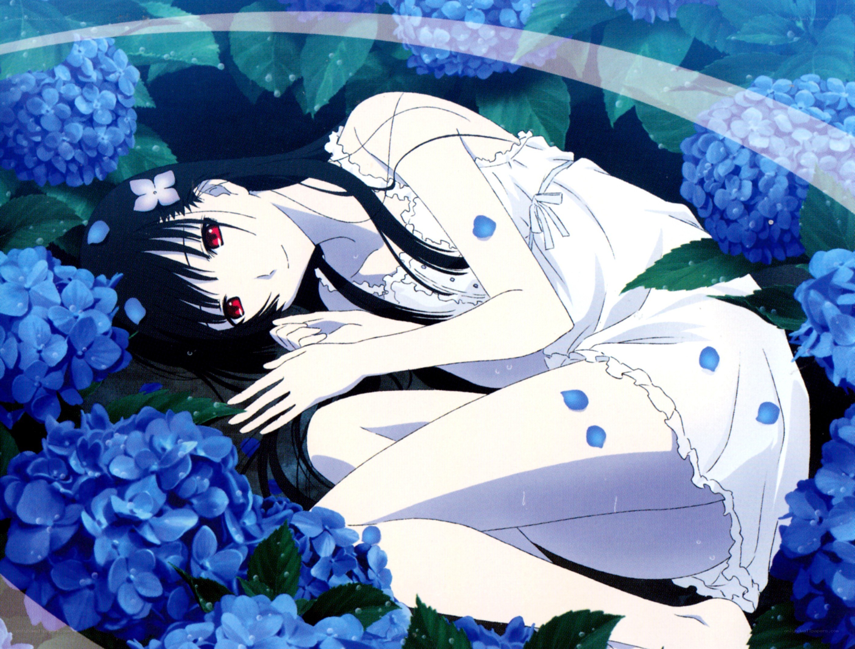 anime girl in hydrangea flowers