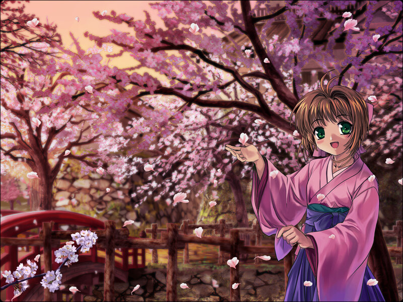 Anime Girl in Kimono — Pink, Serene, Spring, Cherry Blossoms, Bridge