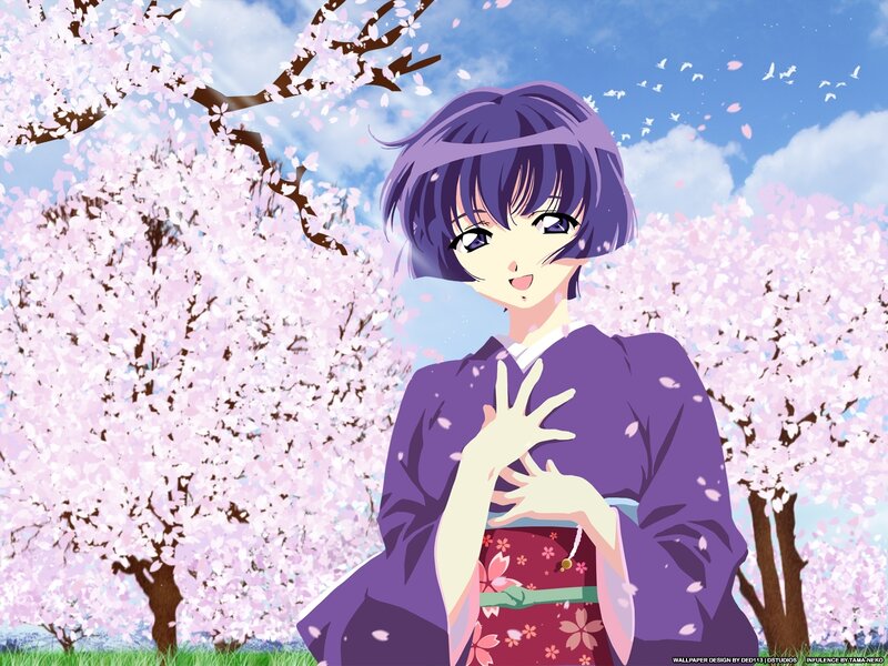 Anime Girl in Kimono — Purple, Serene, Spring, Cherry Blossoms, Sky