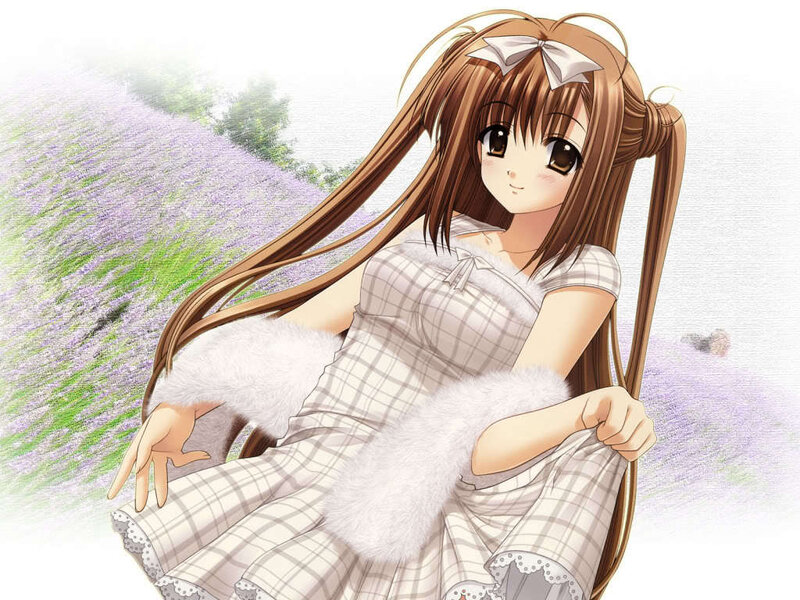 Anime girl in lavender field
