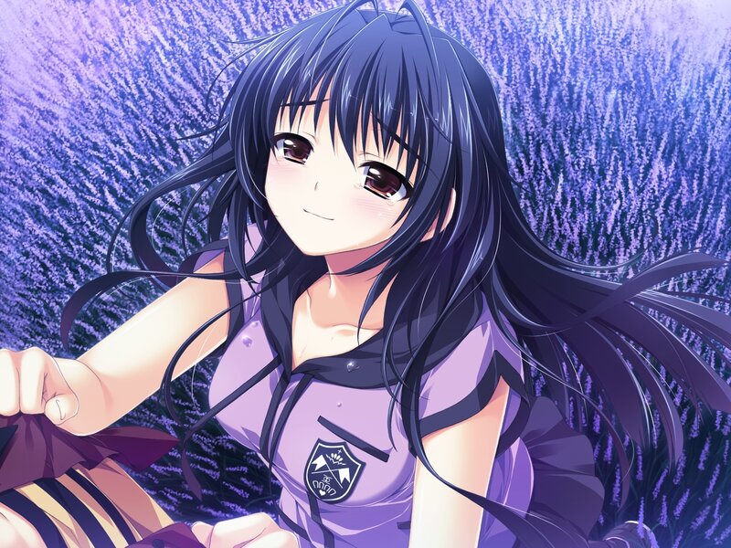 Anime Girl in Lavender Field — Purple, Calm