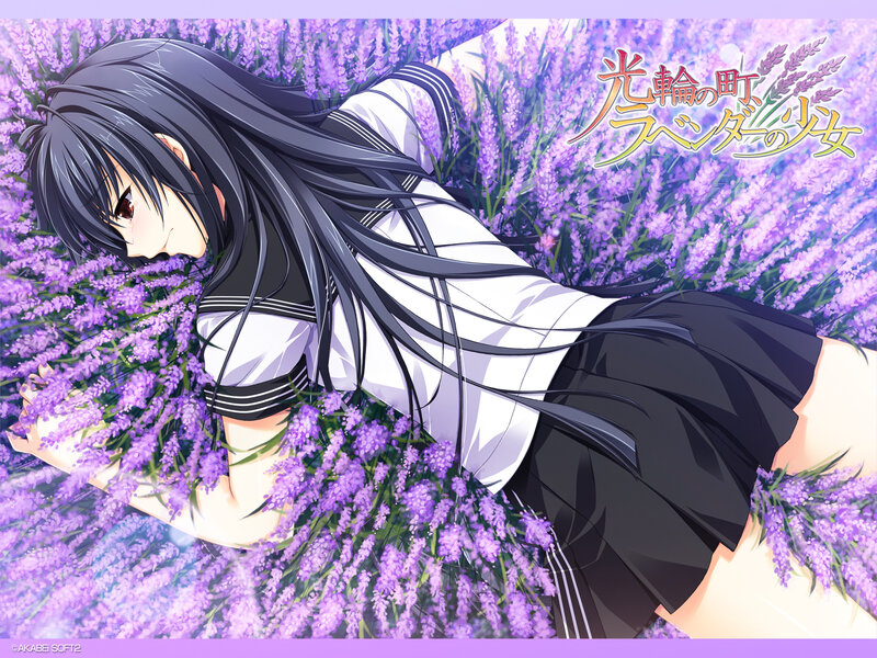 Anime Girl in Lavender Field — Purple