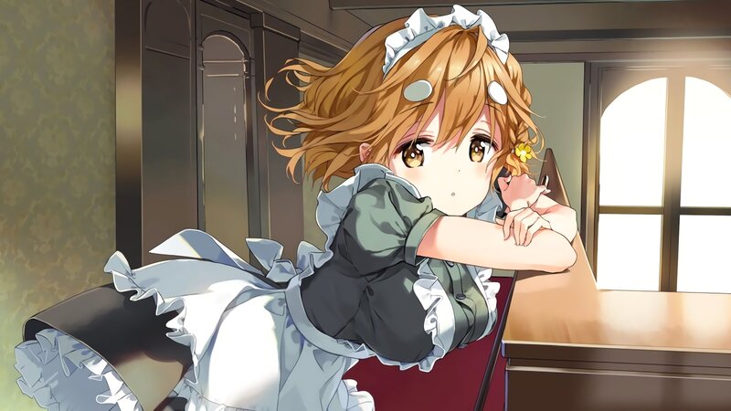 Anime Girl in Maid Outfit — Brown, Calm, Afternoon, Maid Dress