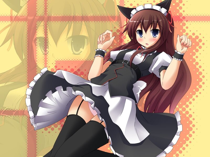 Anime Girl in Maid Outfit — Brown, Playful, Cat Ears, Maid Dress
