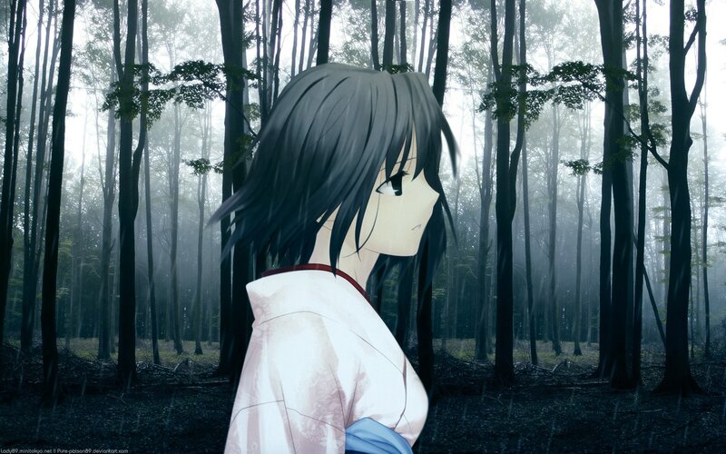 anime girl in misty forest