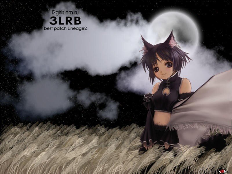 anime girl in moonlit field