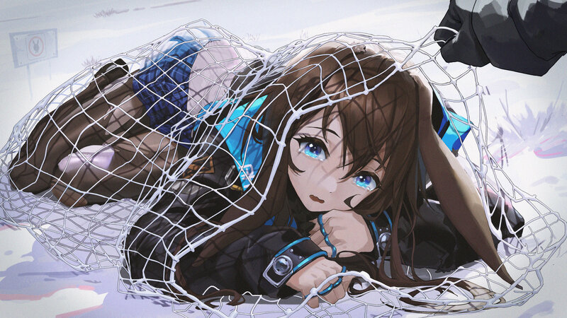 Anime Girl in Net
