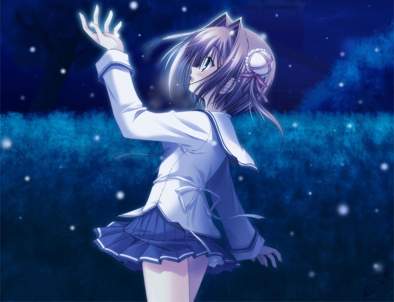 anime girl in night scene