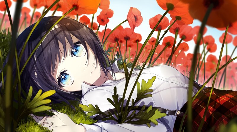 Anime Girl in Poppy Field
