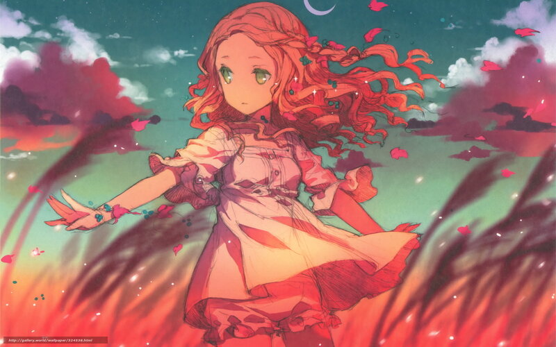 Anime girl in red dress