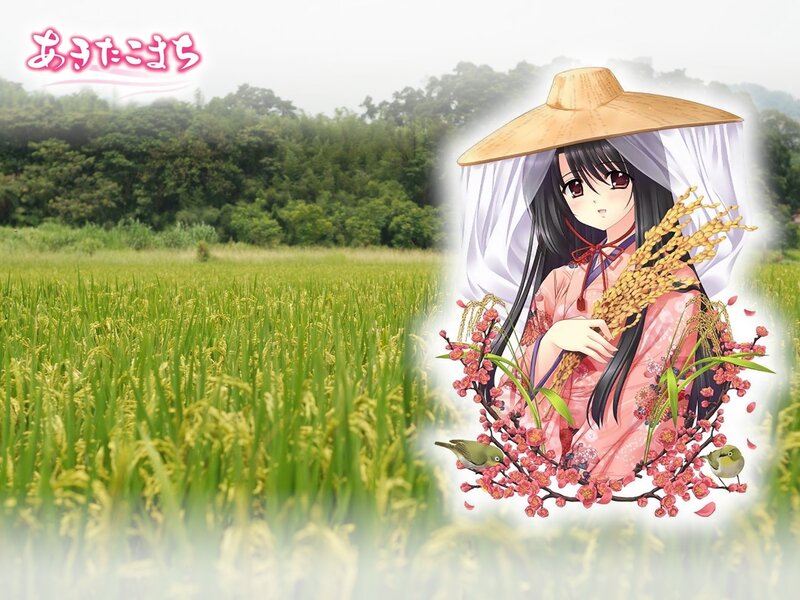 Anime girl in rice field