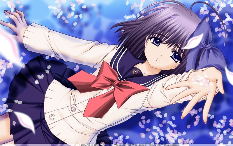 Anime Girl in School Uniform — Blue, Serene, Spring, Cherry Blossoms, School Uniform