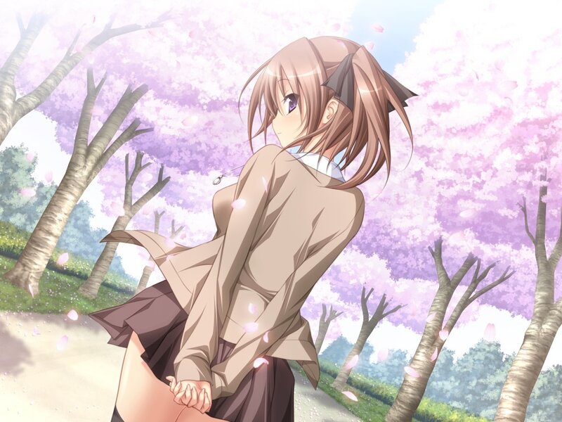 Anime Girl in School Uniform — Pink, Serene, Spring, Cherry Blossoms, Trees