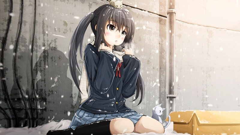 Anime Girl in Snow — Gray, Cold, Winter, Cat, Cardboard Box