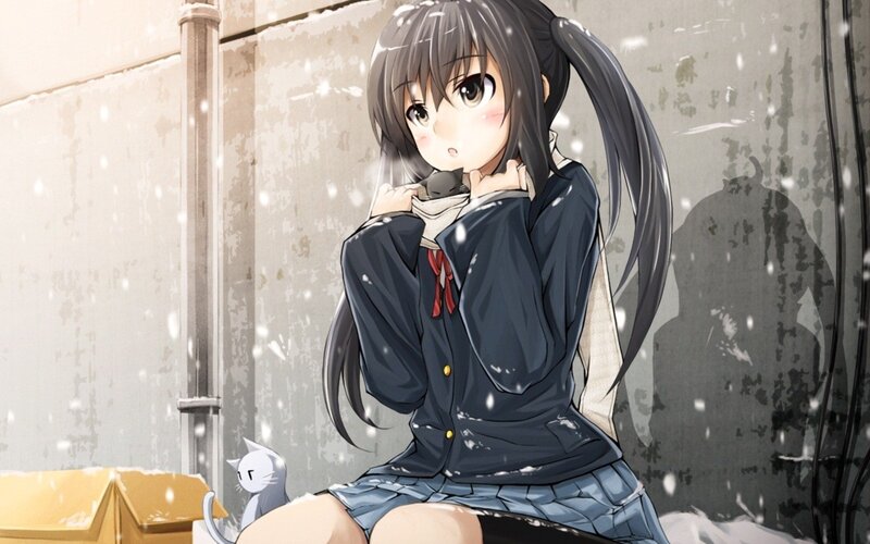 Anime girl in snow with cat