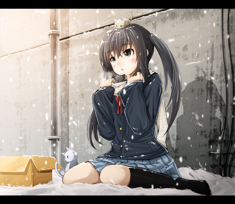 anime girl in snow with cats