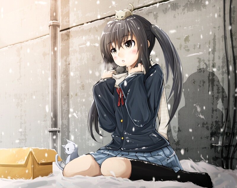 Anime girl in snow with cats