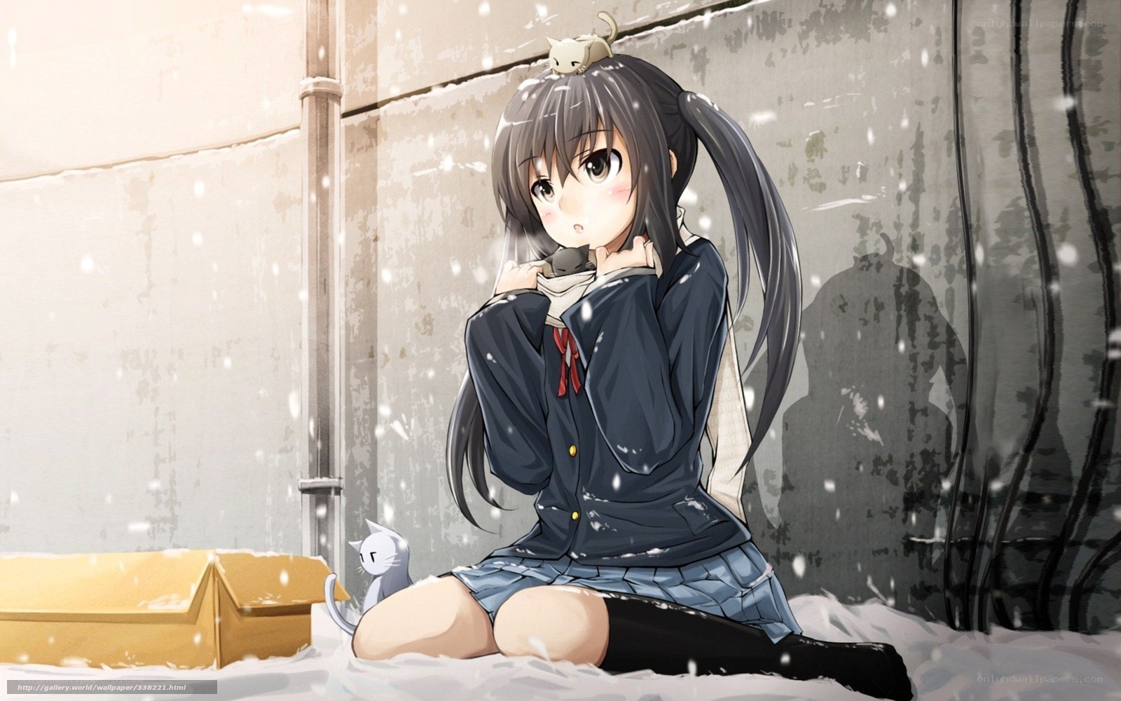 Anime girl in snow with cats