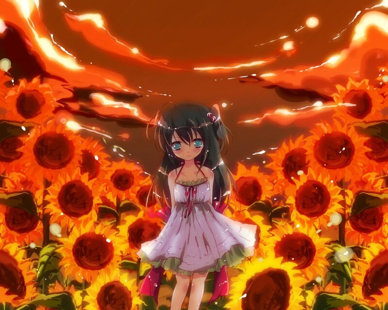 Anime girl in sunflower field