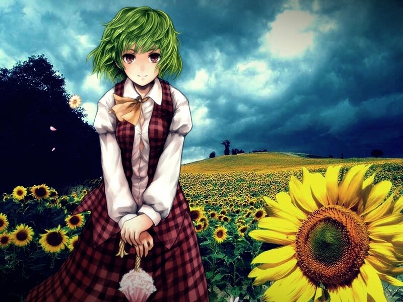 Anime girl in sunflower field