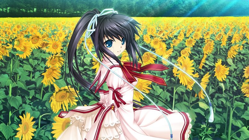 anime girl in sunflower field
