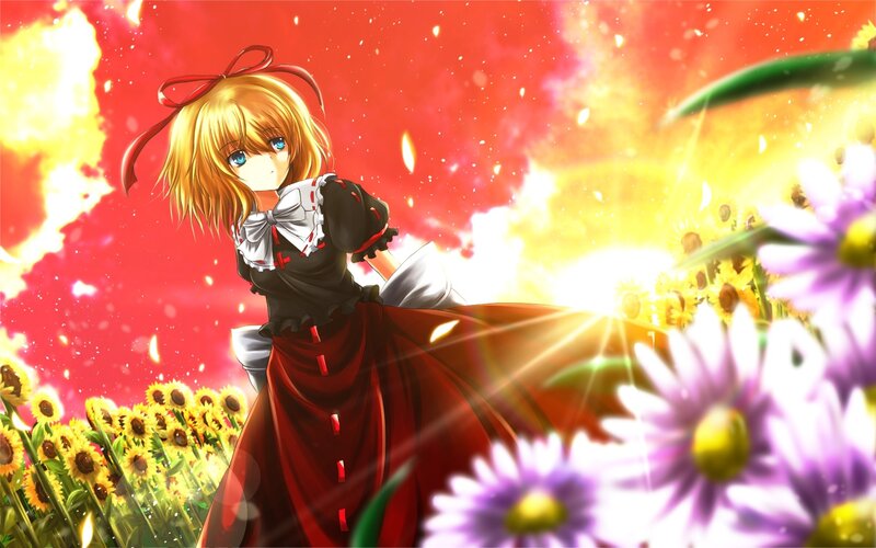anime girl in sunflower field