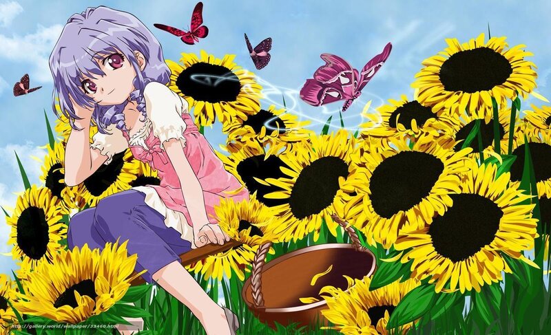 Anime girl in sunflower field