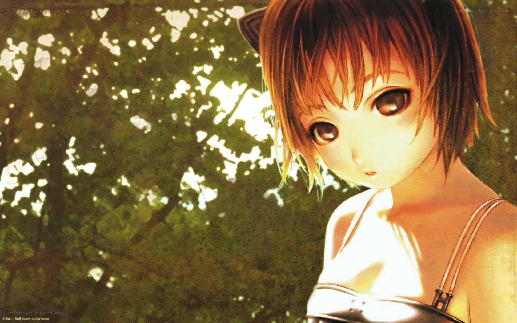 anime girl in sunlight