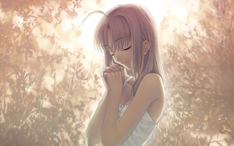 anime girl in sunlit field