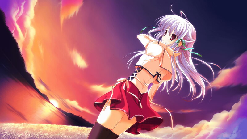 anime girl in sunset field