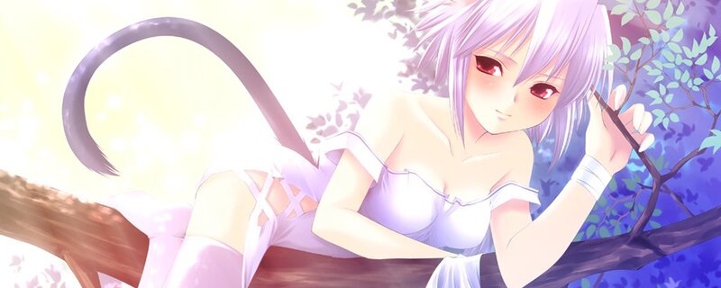 anime girl in tree