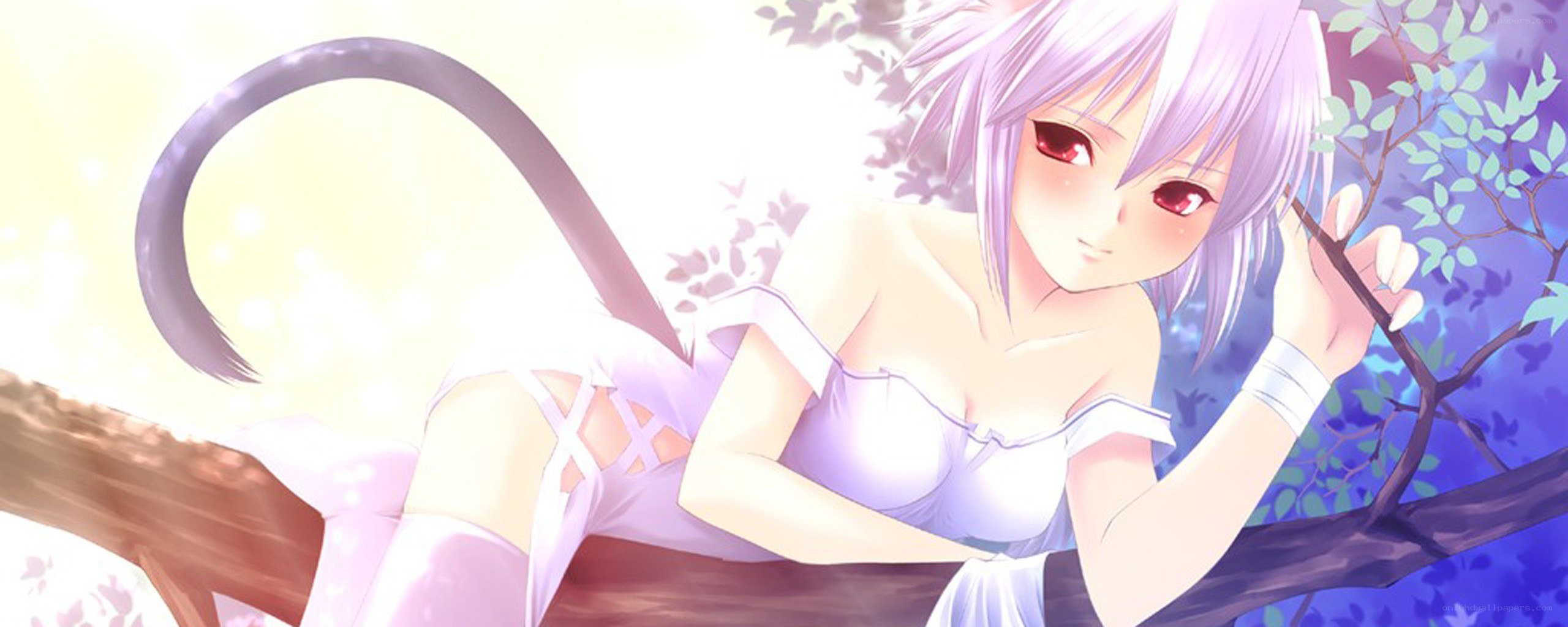 anime girl in tree