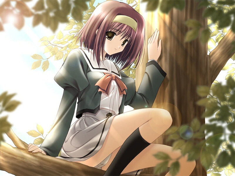 anime girl in tree