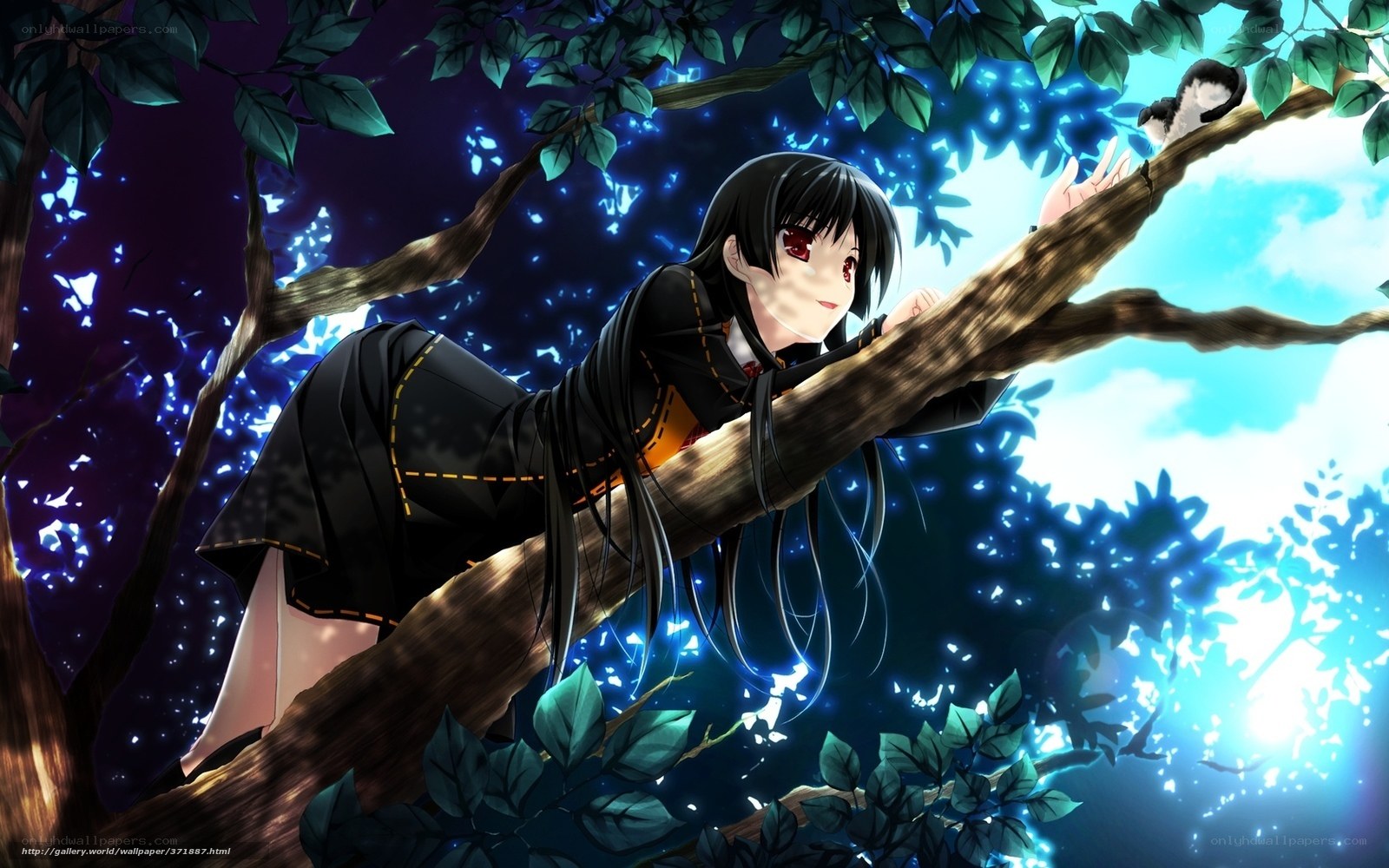 Anime girl in tree at night