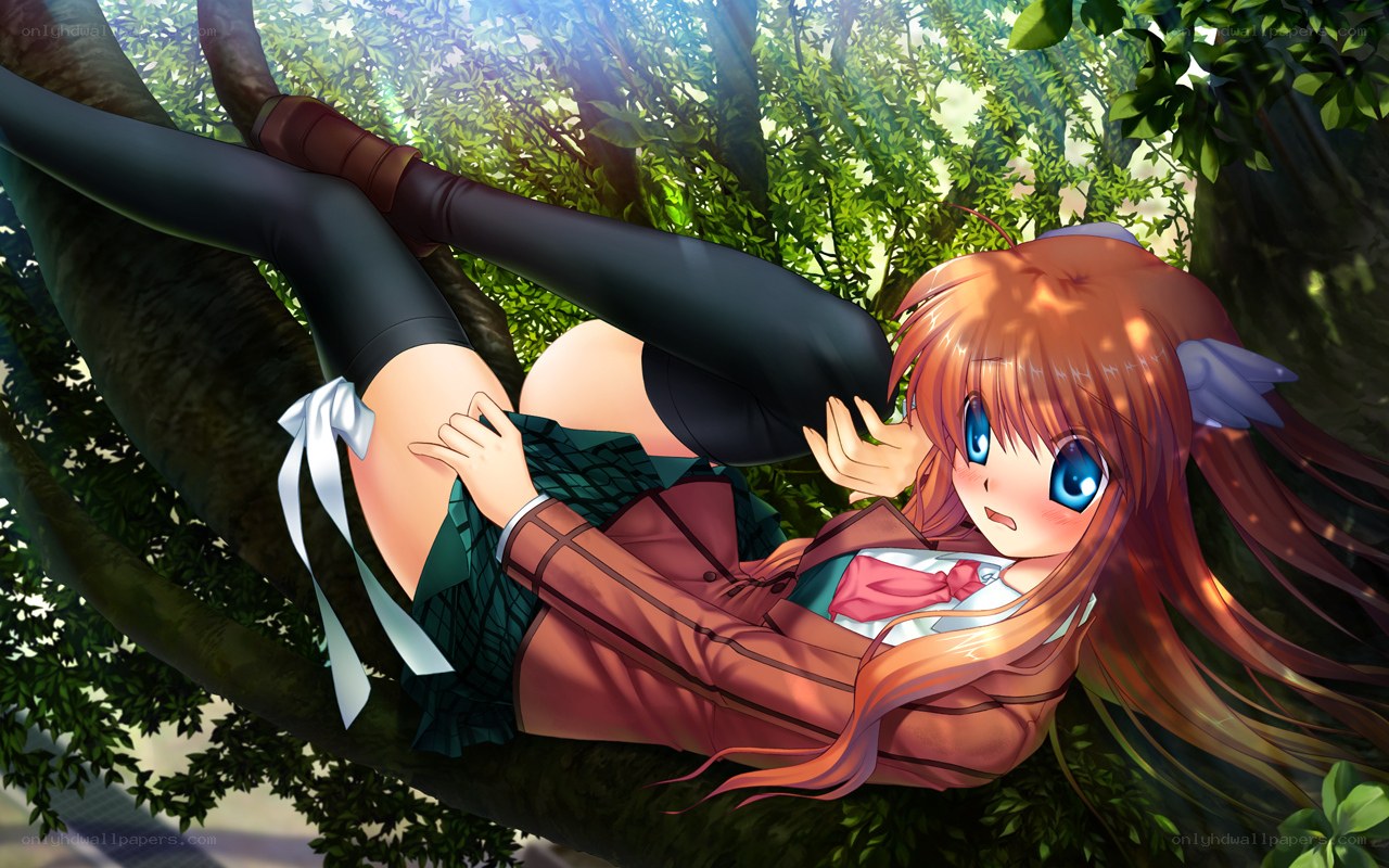 Anime girl in tree