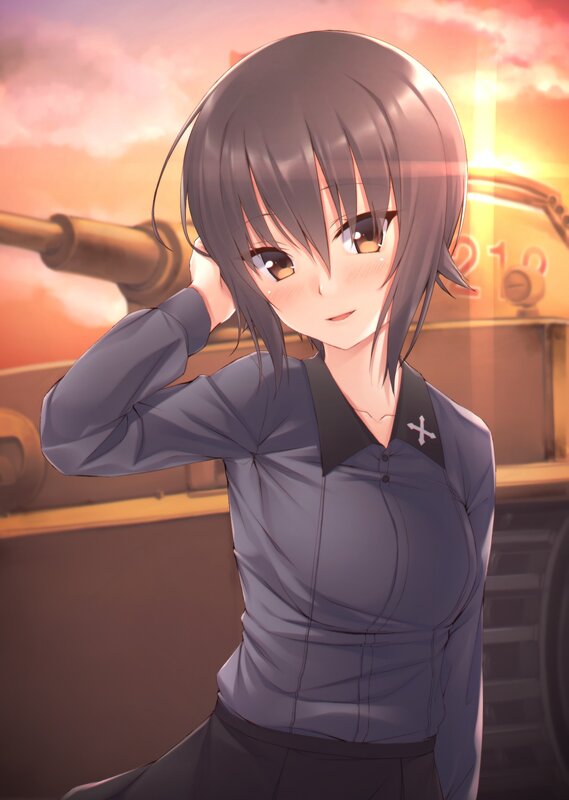 Anime Girl in Uniform — Gray, Dramatic, Sunset