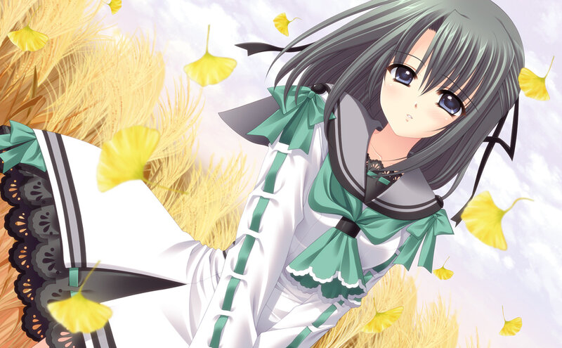 Anime Girl in Wheat Field — White