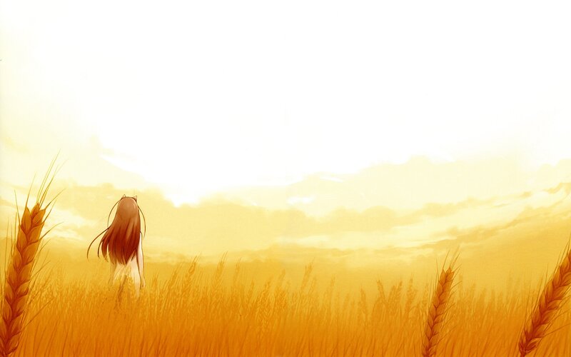 Anime Girl in Wheat Field — Yellow, Serene, Sunset, Sky