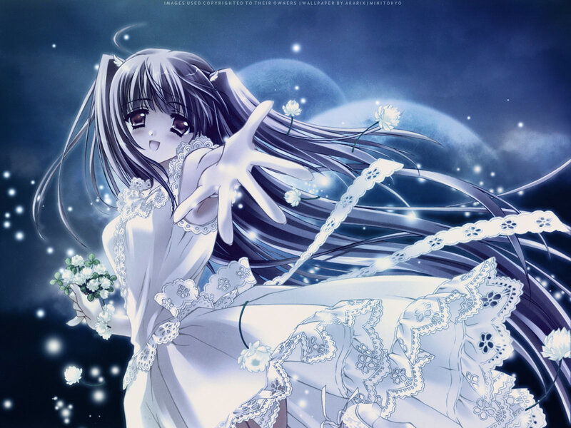 Anime Girl in White Dress — Blue, Serene, Night, Flowers