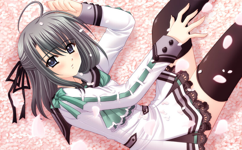 Anime Girl Lying Down — Pink, Calm, Spring, Cherry Blossoms
