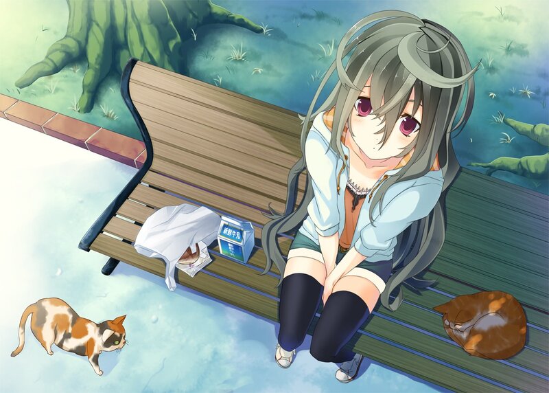 Anime girl on a bench with cats
