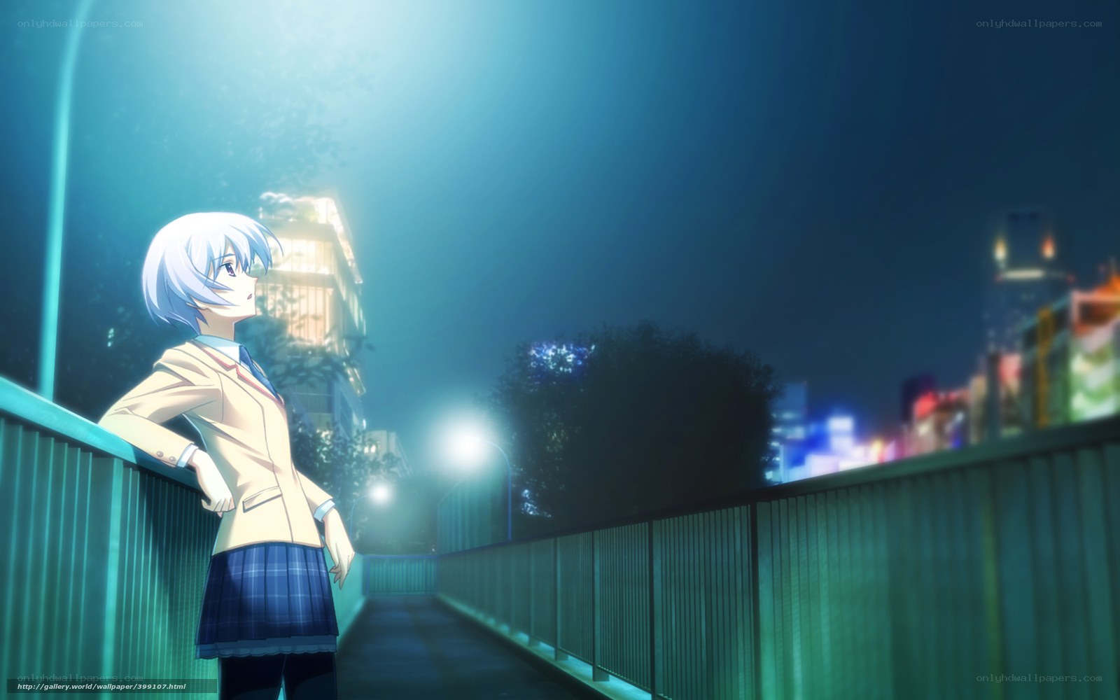 anime girl on a bridge at night