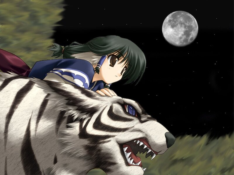 Anime girl on a white tiger