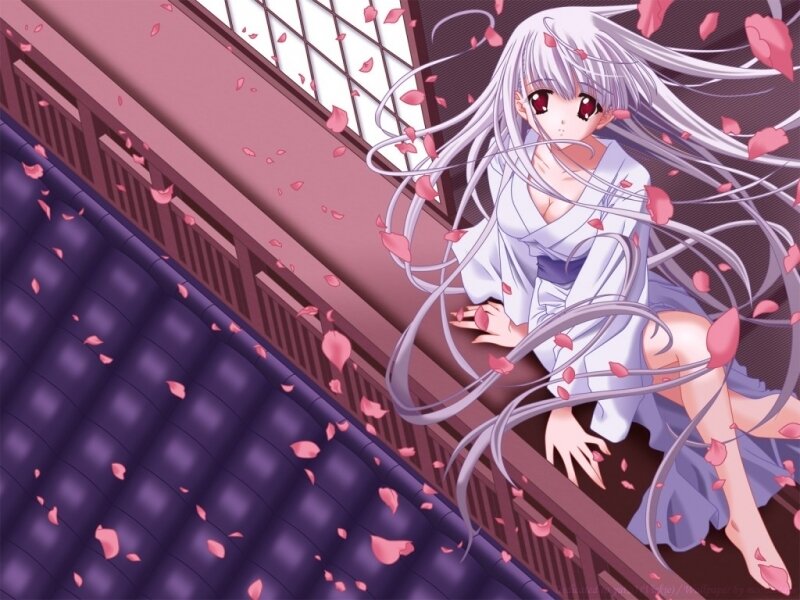 Anime girl on balcony with petals