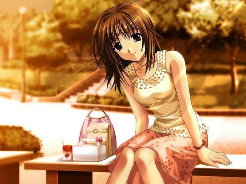Anime Girl on Bench — Brown, Calm, Sunset, Bag