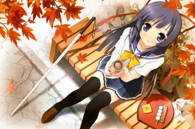 Anime Girl on Bench — Orange, Serene, Autumn, Maple Leaves, Sake Cup